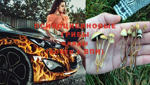кокс Каменногорск