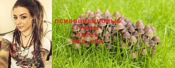 сатива Карталы