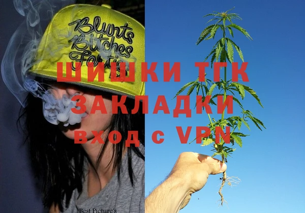 винт Инсар