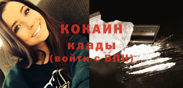 винт Инсар