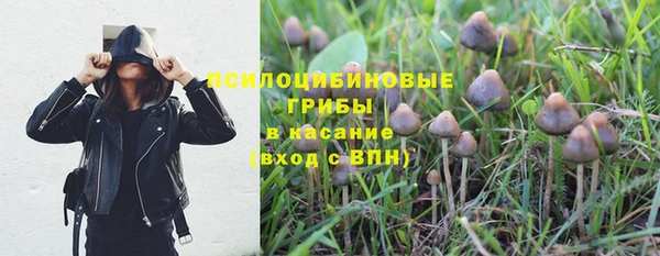 дурь Иннополис