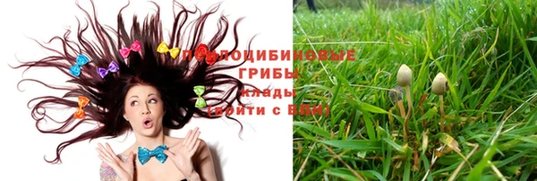мяу мяу кристалл Инта