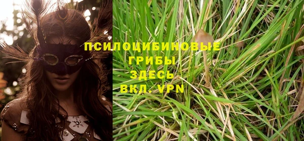 дурь Иннополис
