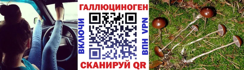 Галлюциногенные грибы Cubensis  Константиновск 
